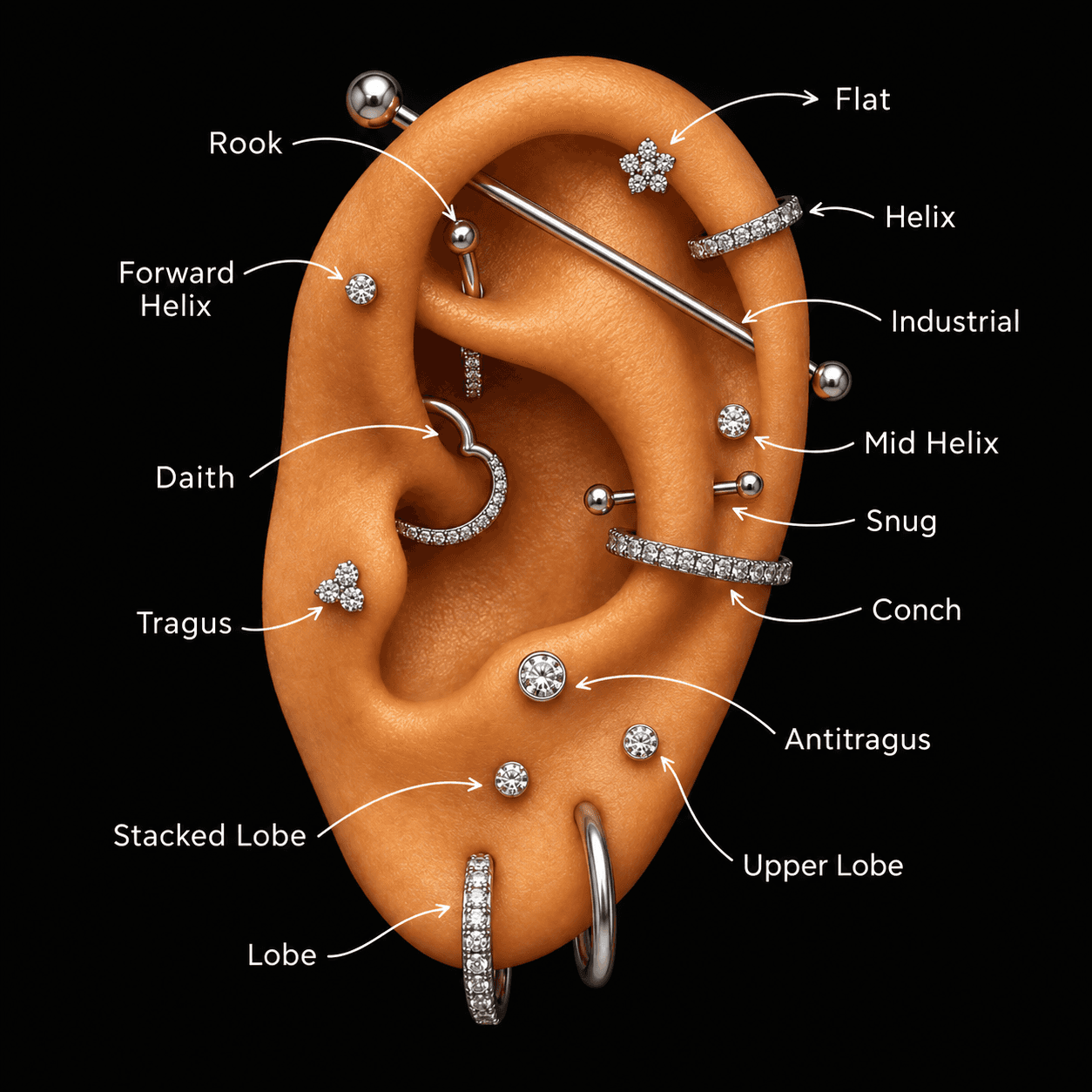 Ear piercing placement map showing helix, rook, daith, tragus, conch, lobe and other placements